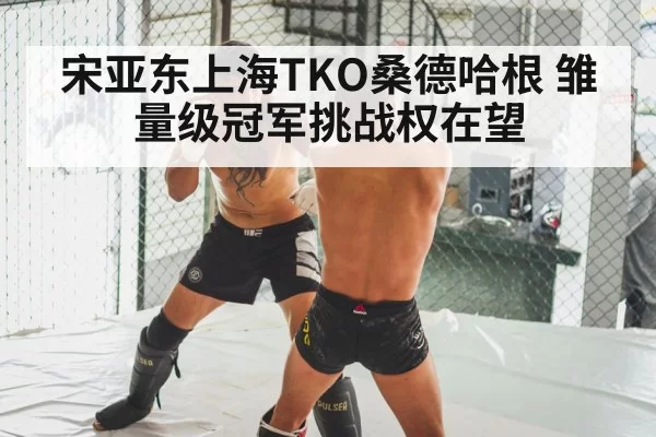 MMA knockout punch