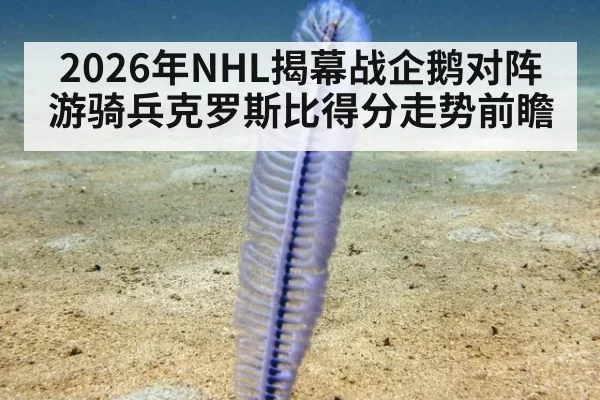 2026年NHL揭幕战企鹅对阵游骑兵克罗斯比得分走势前瞻